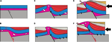 Frontiers Stretching And Contraction Of Extensional Basins With Pre