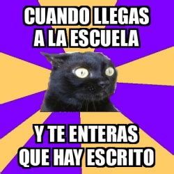 Meme Anxiety Cat Cuando Llegas A La Escuela Y Te Enteras Que Hay