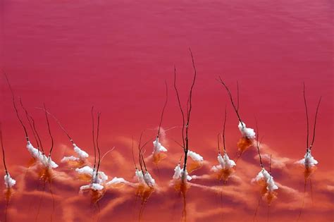 A Bright Red Lake In France These Wooden Ideas