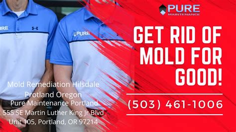 Mold Remediation Hilsdale Portland Oregon Pure Maintenance Portland