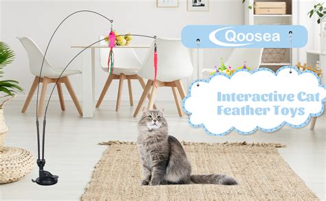 Qoosea Pi Ces Jouet Plumes Pour Chats Jouet Pour Chat Interieur