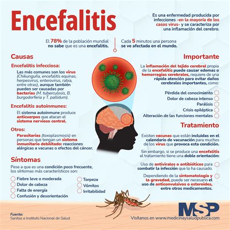 Encefalitis Infografía