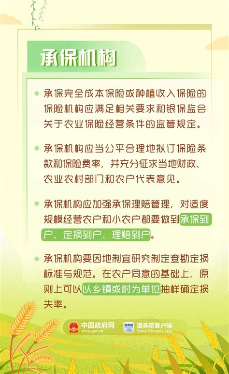 种稻谷、小麦、玉米的农民朋友注意！这个最新政策跟你有大关系图解图表中国政府网