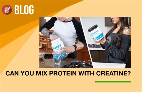 Can You Mix Protein Powder With Creatine Should You