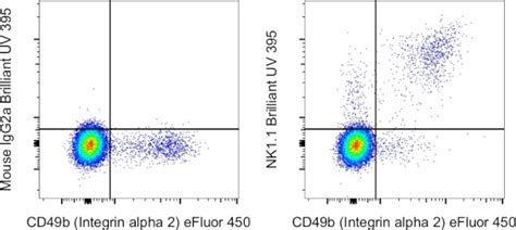 Nk11 Monoclonal Antibody Pk136 Brilliant Ultra Violet™ 395 363