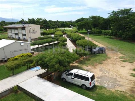 Ofrecen La Licenciatura En Ingenier A Agroindustrial