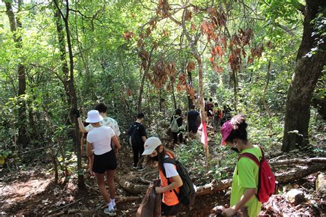 Projeto de extensão da UCDB promove trilha e conscientização ambiental