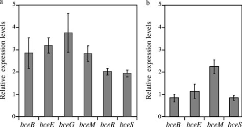 Quantitative Real Time Rt Pcr Analysis Of The Relative Transcript