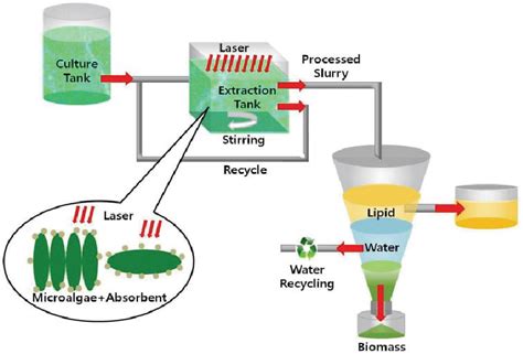 Figure 1 From Enhanced Lipid Extraction From Microalgae In Biodiesel