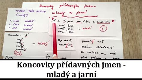 Koncovky P Davn Ch Jmen U Vzoru Mlad A Jarn Youtube