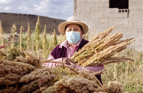 Midagri Ampl A Inscripci N Para La Subvenci N A Mujeres Rurales E