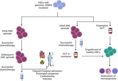 Frontiers Clinical Considerations At The Intersection Of