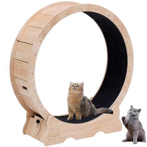 Cat Exercise Wheel Cat Running Wheel Cat Sport Treadmill For Indoor Cat