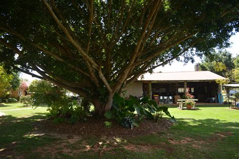 Walkamin Caravan Park Trc Tablelands Regional Council