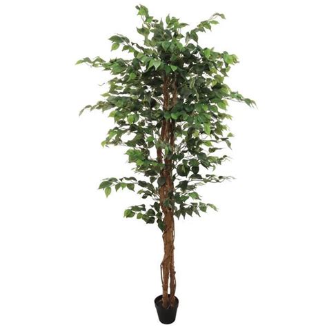 Larksilk In Artificial Ficus Tree With Leaves Lifelike Indoor