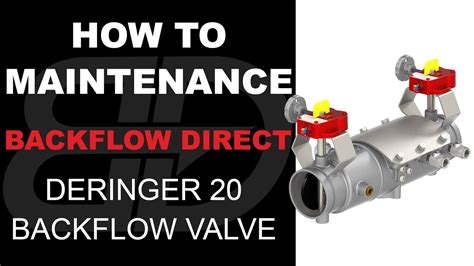 How To Maintenance A 2 ½ 4 Deringer 20 Double Check Backflow Preventer Youtube