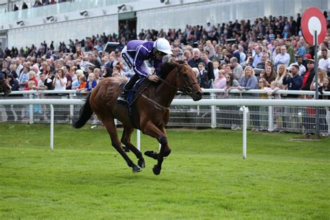 Hamilton Park Racecourse Aims to Hit £1 Million Prize Fund | Hamilton Park