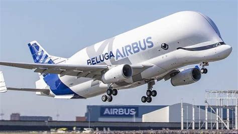 El primer Airbus Beluga XL ya está terminado y listo para empezar sus