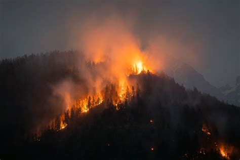 Incendios Forestales ¿qué Ha Generado Su Propagación