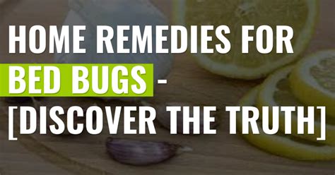 Home Remedies For Bed Bugs [Surprising Answers] | Pest Resources