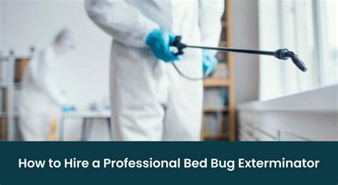 How To Hire A Professional Bed Bug Exterminator