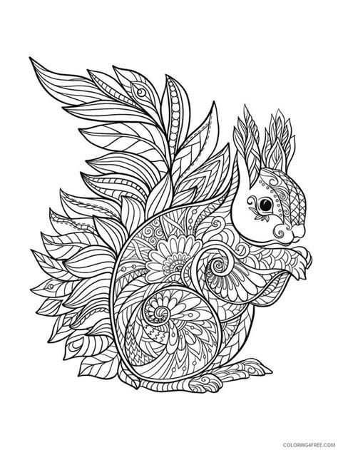 A Coloring Book Page With An Image Of A Squirrel On It S Hind Legs