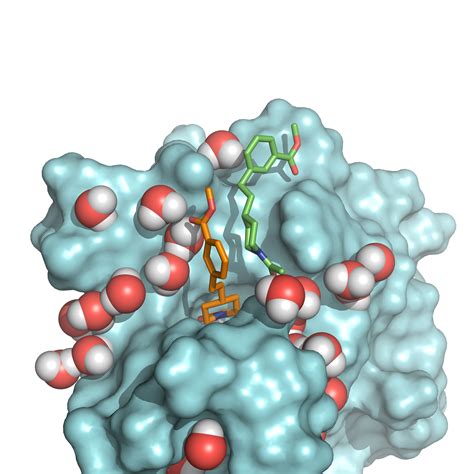 Target Analysis Drug Discovery Sygnature Discovery