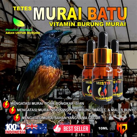 Jual Vit Mistis Tetes Murai Batu Vit Burung Murai Lomba Mengatasi