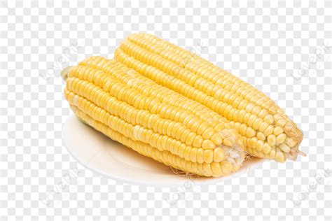 Corn Material Maize Corn Png Image And Clipart Image For Free