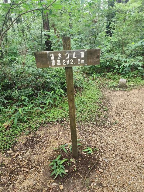 【334~336座】東山・清水山・清閑寺山 ささやん。さんの大文字山・如意ヶ嶽・稲荷山の活動データ Yamap ヤマップ