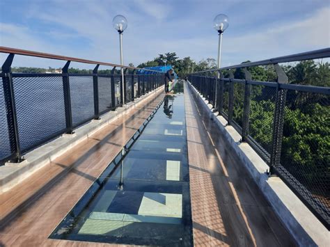 Bedelau Wisata Skywalk Di Siak Mirip Di Korsel