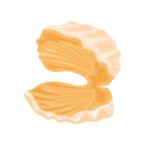 Sea Shell Oyster 10419036 Vector Art At Vecteezy