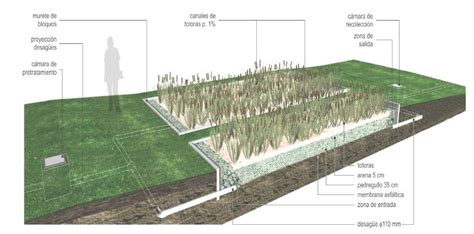 Proyecto Humedales Artificiales Definici N De Humedal Artificial O