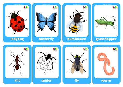 Types Of Bugs In Video Games At Alejandro Coomes Blog