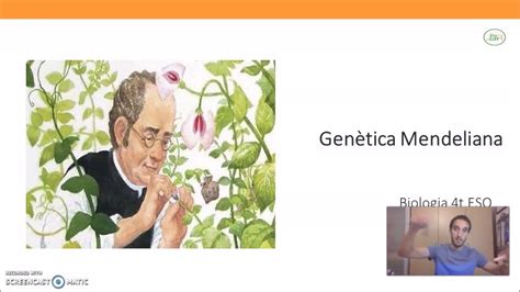 Biologia 4 ESO Genètica Mendeliana III Primera i segona llei de