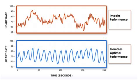 Heart rate variability (HRV) is a great way to measure stress