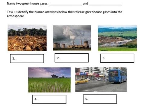 Human Causes Of Climate Change Worksheet Teaching Resources