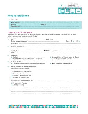 Remplissable En Ligne Dossier De Candidature Mode D Emploi