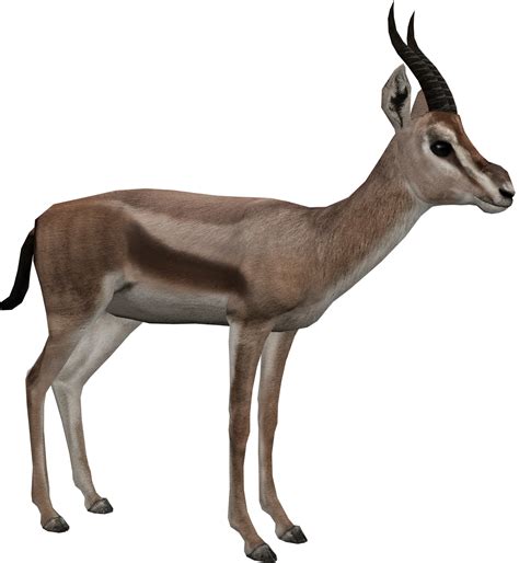 Speke's Gazelle (Tycoonfan) | ZT2 Download Library Wiki | Fandom