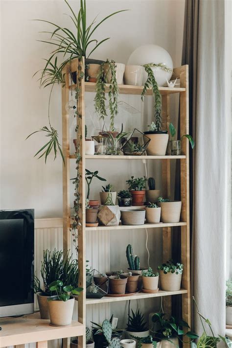 The Best Best Easy Diy Plants Shelf Ideas For Wall Decoration Your