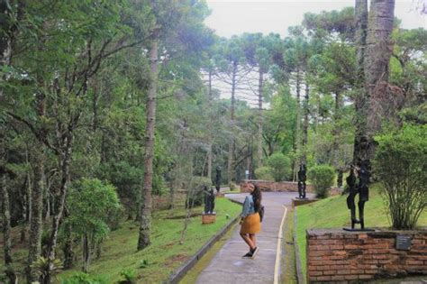 Campos de Jordão Guia de viagem 10 dicas Trip Partiu