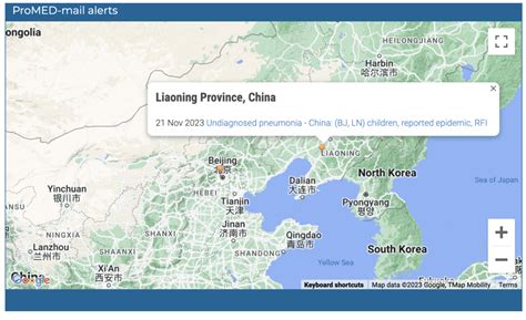 La Oms Reclama Informaci N De Los Brotes De Neumon A En China