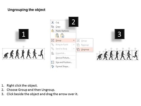 History Of Human Evolution Graphic Diagram Flat Powerpoint Design ...