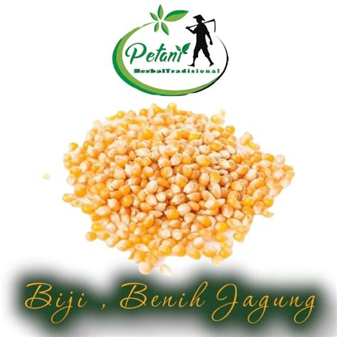 Jual Jagung Pipil Jagung Pipil Kering Gram Jagung Pipil Untuk Pakan