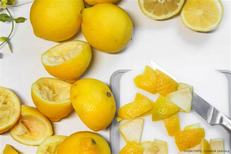 How To Dehydrate Lemon Peels And Make Lemon Powder Simple Living Creative Learning