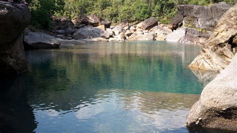 Preserving Biodiversity - World Wildlife Day in Meghalaya