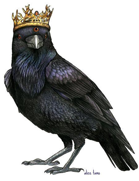 Three Eyed Raven In A Game Of Thrones Crown A4 Print Etsy Bird Art