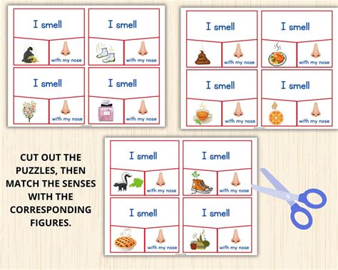 Five Senses Sorting Activityfive Senses Puzzle5 Sense Activities5