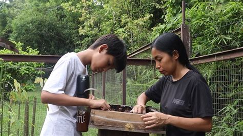 Sekali PANEN Dapat BANYAK Penghuni BARU Kebunku Di HUTAN YouTube