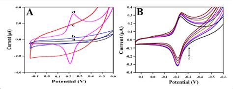 A Cyclic Voltammograms Of Modified Electrode A Bare Gce B Download Scientific Diagram